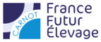 FFE